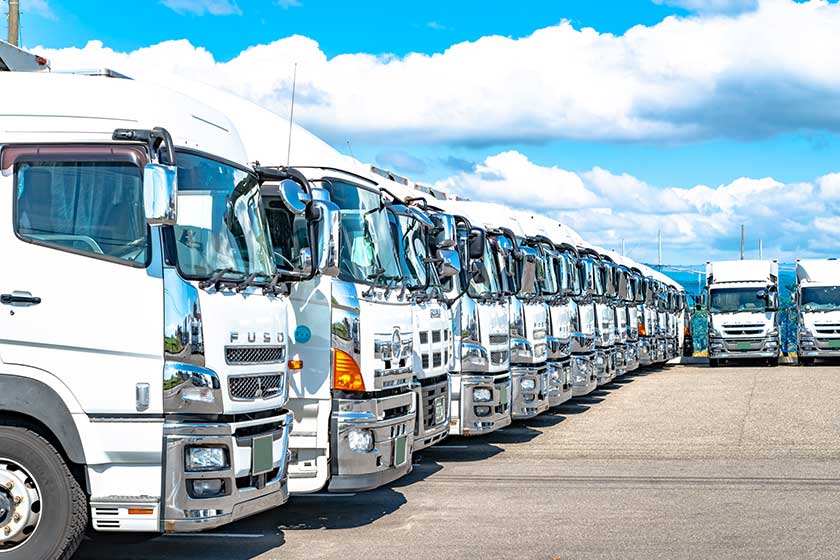 独自のネットワーク | 中古車販売専門店 Buddy